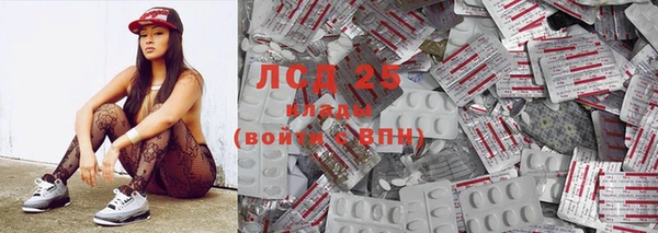 эйфоретик Алзамай