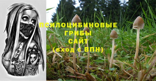 кокс Арсеньев
