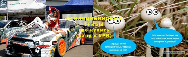 ГАЛЛЮЦИНОГЕННЫЕ ГРИБЫ Армянск