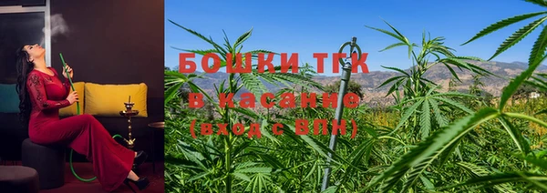 ГАЛЛЮЦИНОГЕННЫЕ ГРИБЫ Алексин